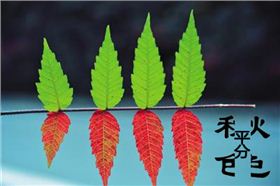 今日立秋‖深聯(lián)線路板告訴你秋天的那點事