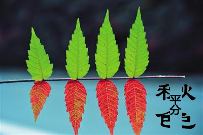 今日立秋‖深聯(lián)線路板告訴你秋天的那點事