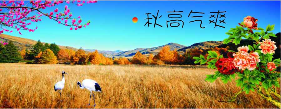 今日立秋‖深聯(lián)線路板告訴你秋天的那點事